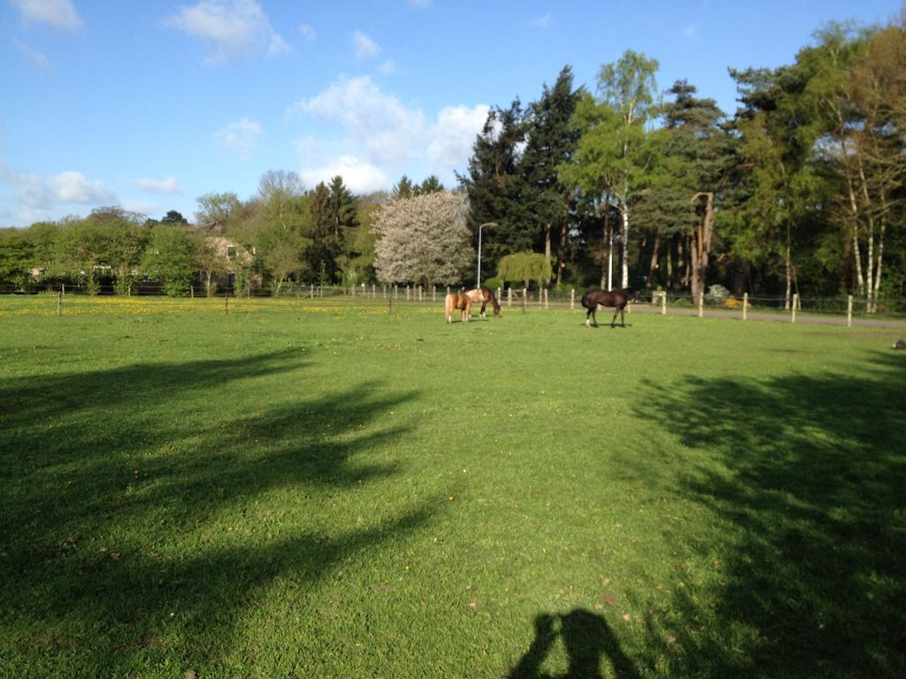 De Heidehoeve Wezep Rum bild